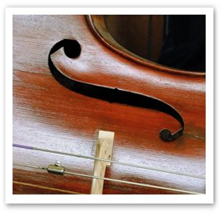 Contrebasse